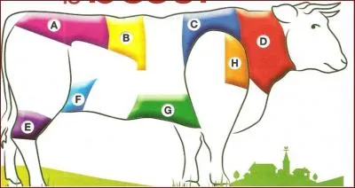 Veuillez localiser le  collier 