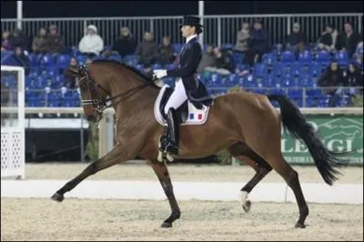 Quel sport se pratiquant individuellement et en quipe est divis en 3 preuves (dressage, concours complet et saut d'obstacles) ?