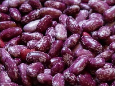 Avec quoi peut-on agrmenter ces plats ?