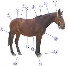 Quels sont les noms des parties 11 et 12 ?