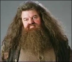 Qui est ce personnage ?