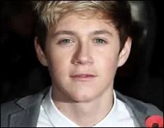Comment s'appellent les deux meilleurs amis de Niall ?