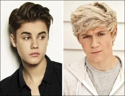 Quand Justin Bieber a suivi Niall, qu'a chant celui-ci ?
