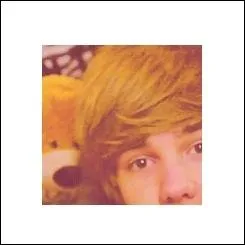 Quelle est la couleur du lisseur de Liam ?