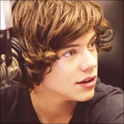 Qu'est-ce que Harry aime regarder ?