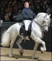 Quelle est la race de ce cheval trs rare de cette robe ?