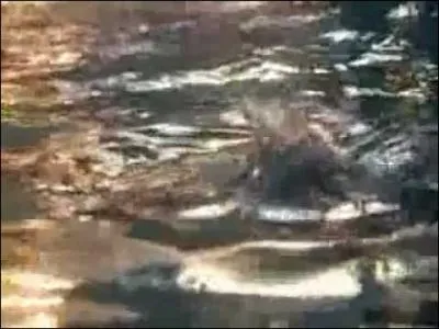 De quel clip provient cette image ?