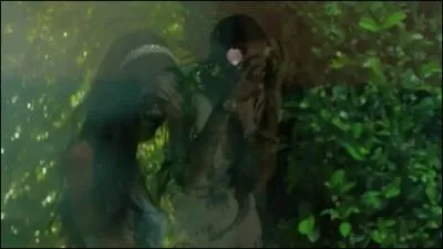 De quel clip provient cette image ?