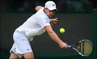 Qui est ce joueur de tennis ?
