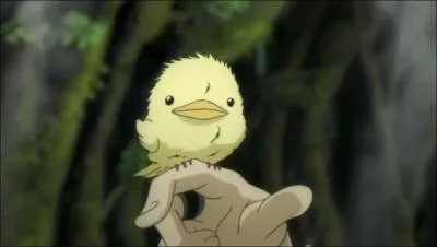 Comment s'appelle son oiseau ?