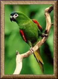 Et ce dernier ara est ...