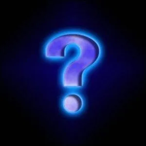 Dans  Les sorciers de Waverly , l'an s'appelle Max :