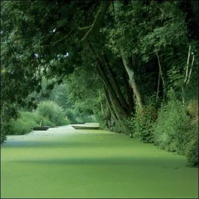 Riche pour ma faune et ma flore j'offre des spectacles dpaysants?