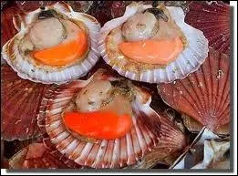 Trs connue, trs goteuse mais, tale ainsi, l'aspect peut repousser. C'est ?