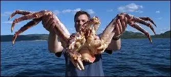 Encore un drle d'animal qui est recherch pour son got dlicat, de quoi s'agit-il ?