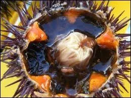 Pas si facile  pcher, ce qu'on mange dans cet animal, c'est la partie orange, qui est ?