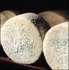 Oui, oui, c'est bien tout moisi,  plusieurs titres, et pourtant on le considre comme un prcieux fromage. C'est ?