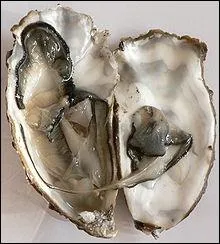 Encore un drle de mets, drle de couleur, drle d'allure, qu'on mange cru et vivant. Pourtant un mets de choix. Il s'agit de ?