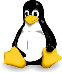 Comment s'appelle ce pingouin, mascotte de Linux ?