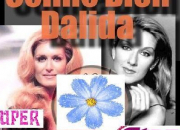Quiz Dalida ou Cline Dion