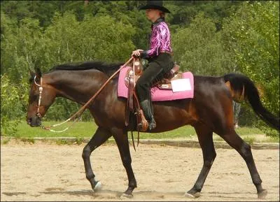 Quelle est cette activit ?