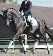 Quiz Galop 1