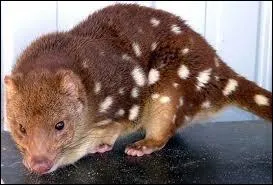 Et celui-l, c'est une