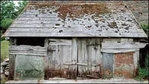 Pour qui est faite cette description : "Grognon, mais familier comme si nous l'avions gardé ensemble, il fourre le nez partout et marche autant avec lui qu'avec les pattes. Ventru comme une groseille à maquereau" ?