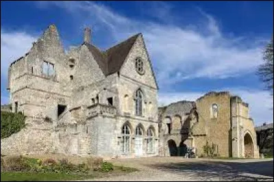 Dans quelle ville, considérée comme le berceau de la dynastie, Hugues Capet reçut-il le titre de Roi des Francs ?