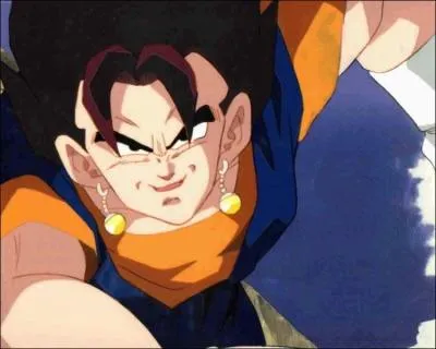 Comment est-elle faite ?