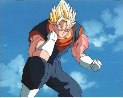 Quel le deuxime nom de Vgto ?