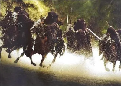 Combien sont les cavaliers noirs ?