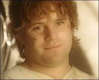 Combien de fois Sam est-il lu maire ?