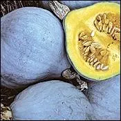 Voici un trs joli aliment  la peau bleue et  la chair orange : quel nom porte-t-il ?