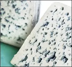 Voici ce qu'on appelle un fromage  bleu , car la noble moisissure qui s'y loge est bleute. Le roquefort est un  bleu . Qu'est-ce qui produit les parties  bleues  ?