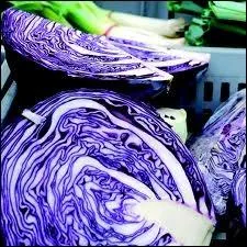 La salade de chou rp, agrmente de carottes et d'oignons (voire d'ananas, de pommes, de fromage), est une spcialit amricaine, nomme Coleslaw. Mais quelle est son origine ?