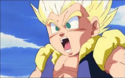 Comment doit tre cre la fusion ?