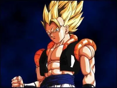 Dans quel OAV apparat-il ?