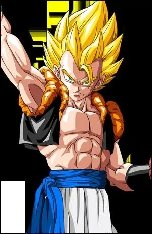 D'o proviennent les vtements de Gogta ?