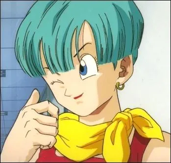 Chichi et Bulma sont ennemis