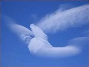 On l'aime diaphane plutôt que lourd. Il sera folâtre durant les belles journées d'été et pas combatif pour deux seaux.