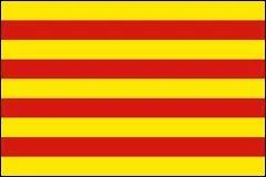 A quelle grande ville de France appartient ce drapeau ?