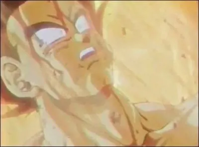 Comment est mort Bardock ?