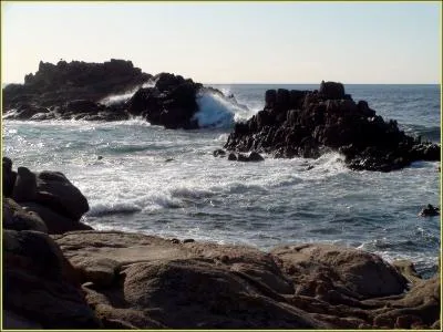 Il est redout des marins. Quelle lettre faut-il retirer  son nom pour obtenir celui de celle qui peut tre d'abeille,  piler, ou faire bouchon dans les oreilles ?