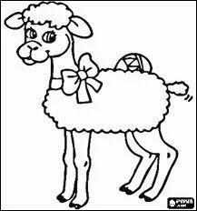 Qu'est-ce que le collier d'agneau ?