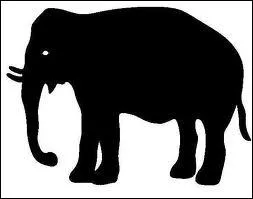 Quel animal est sur la photo ?