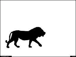 Quel animal est sur la photo ?