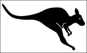 Quel animal est sur la photo ?