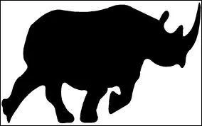 Quel animal est sur la photo ?