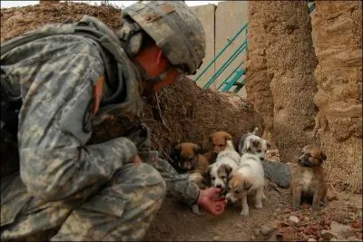 La guerre, c'est comme  la chasse, sauf qu' la guerre, les lapins tirent, disait cet ex-rfugi londonien, futur gnrateur d'espoir !